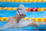1801550.jpg