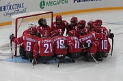 Следж хоккей