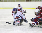 In the Sport Palace "Yantar" in Moscow the first competition day of the Para Ice Hockey tournament " Cup of Courage " was ended.
