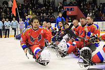 A series of friendly matches between the National team of South Korea and the Para Ice Hockey Club "Phoenix"