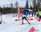 IN "PEREKOP" THE CHAMPIONSHIP AND THE CHAMPIONSHIP OF RUSSIA IN CROSS-COUNTRY SKIING OF SPORTS OF PERSONS WITH DISABILITIES HAVE ENDED