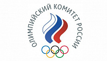 Andrey Strokin took part in the Meeting of the ROC Athletes Commission via video conference