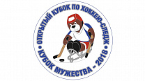 For the first time in Moscow there will be an Open Para Ice Hockey Tournament "Cup of Courage"