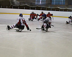 Yugra showed their power at the first stage of Russian sledge hockey championships