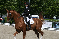 Russian Paralympic riders won four bronze medals at biggest international equestrian tournament for persons with physical impairments in Italy