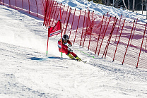 RUSSIAN ATHLETS IN ALPINE SKIING FOR PERSONS WITH PHYSICAL IMPAIRMENTS AND SPORTS OF THE BLIND WON TWO GOLD, THREE SILVER AND SIX BRONZE MEDALS AT THE CUP OF EUROPE IN GERMANY