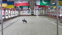 More than 40 athletes took part in the Russian Equestrian Championship in Moscow region 