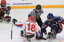 THE FINAL ROUND OF THE RUSSIAN PARA HOCKEY CHAMPIONSHIP TO BE HELD IN THE TULA REGION