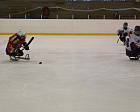 Yugra showed their power at the first stage of Russian sledge hockey championships