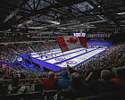 World Curling Launch Fan Survey